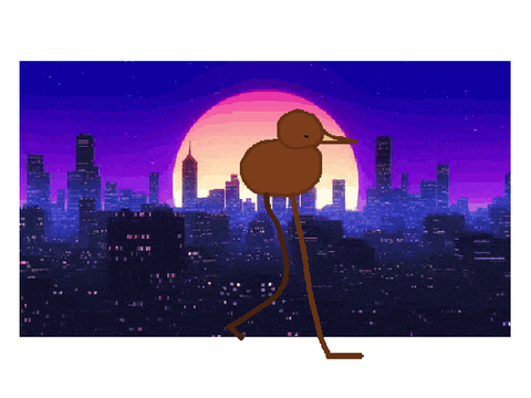 kiwi