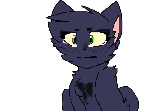 heartbreaks heart is acually broken (unfinished)