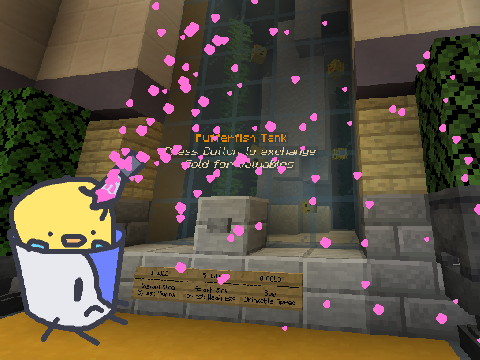 BFF Entry 6: a