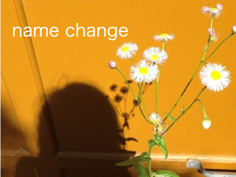 + name change +