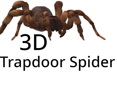 3D Trapdoor Spider | Day #6
