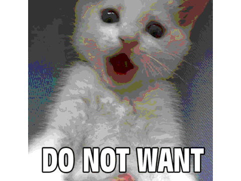 cats 4