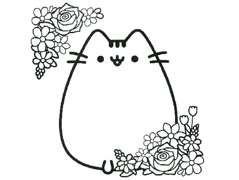 cats closed cc