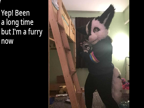 I'm a Furry 