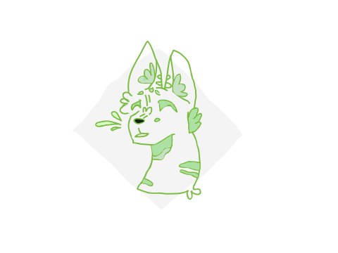 * * lost and acorn pfps * *