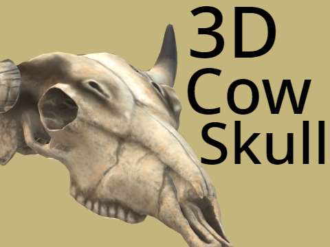 3D Cow Skull | Day #8