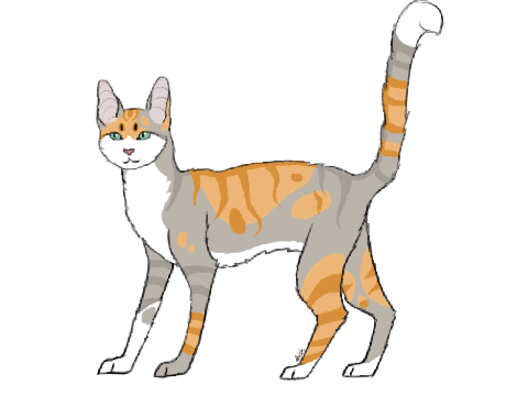 Catto
