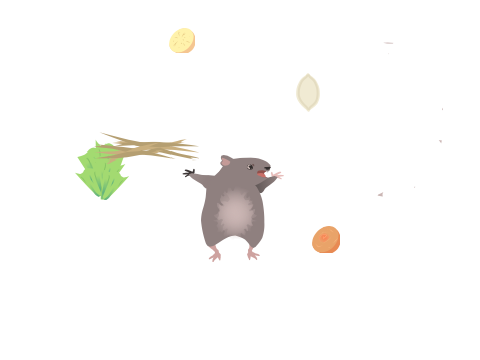 womabat simulator