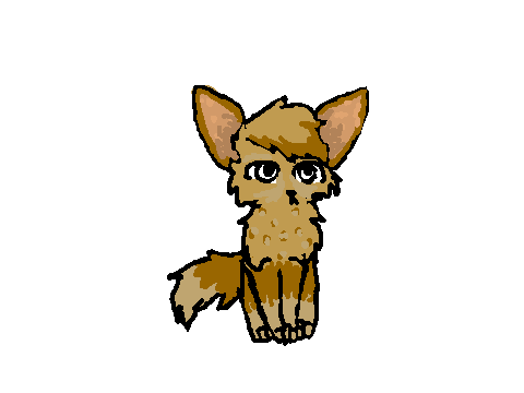 wolf cce