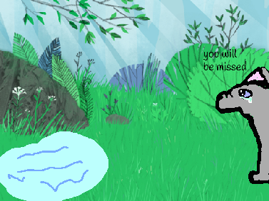 bluestar is missed