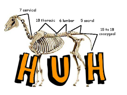 huh
