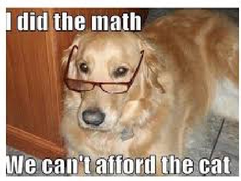 dog meme
