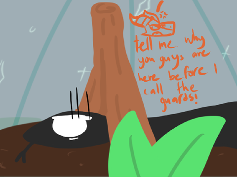 The Moon Garden // 10