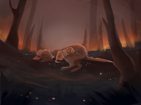 By your side | Australian bushfires