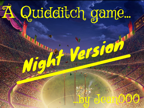 Quidditch Game : Harry Potter --- Night version
