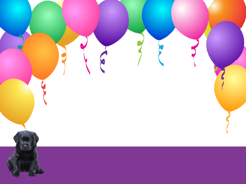 puppy's party