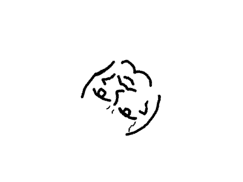 Tortilla 