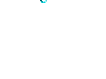 and is now stuck in a infinite loading screen.