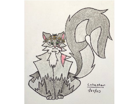 Lakestar for @WarriorsWOF4LYFE3