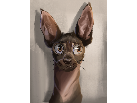 mexican hairless dogs are such a mood