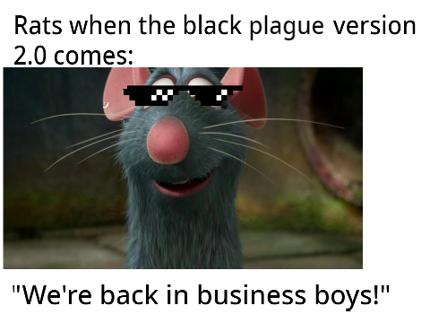 Rats