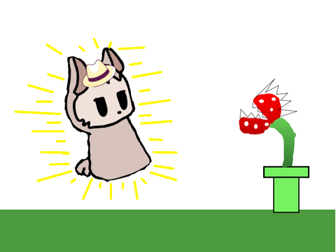 Llama!
