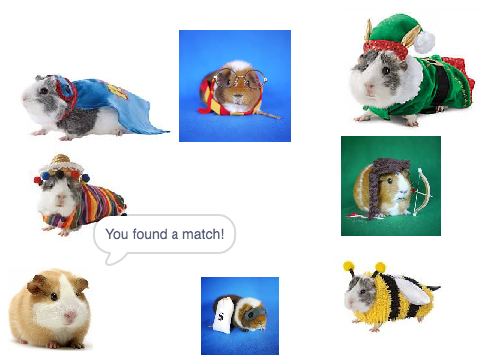 Guinea Pigs