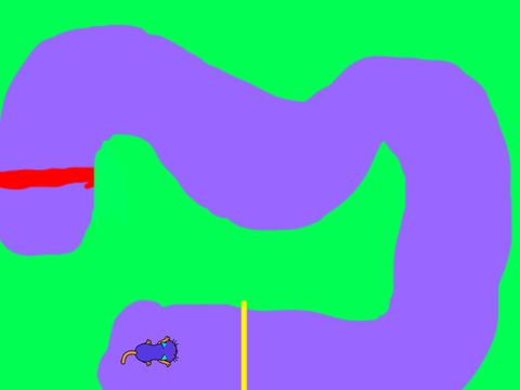 Toxic run!