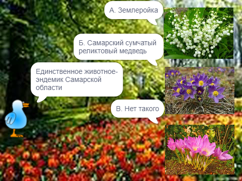 Древо жизни