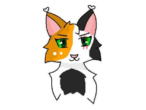 AT with Willowheartwarriors ( Beechstorm )