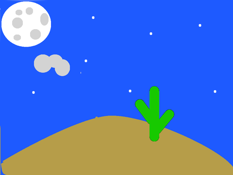 Night time - Desert - 