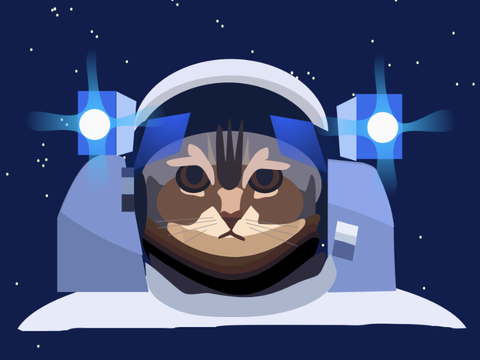 Icon Contest Entry | Space Cat