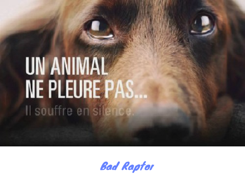 remixer et noter votre nom ce qui sont contre la maltraitance remix