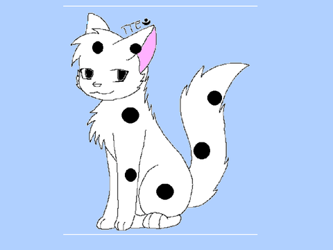 Warrior Cat CCE
