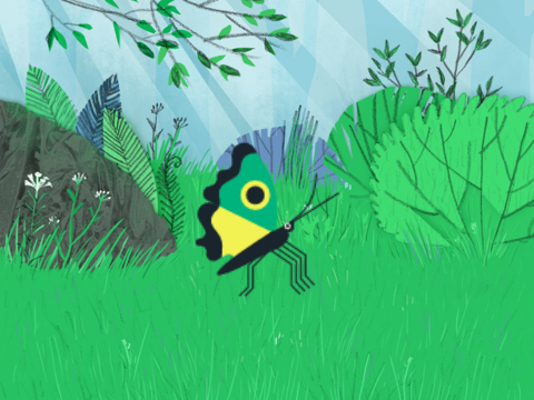 Bug Animations