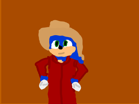 Cowboy sonic!