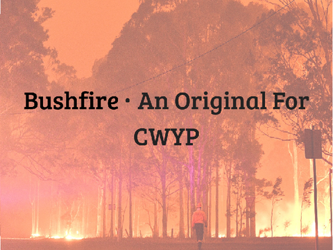 ✰  Bushfire - An Original Poem 