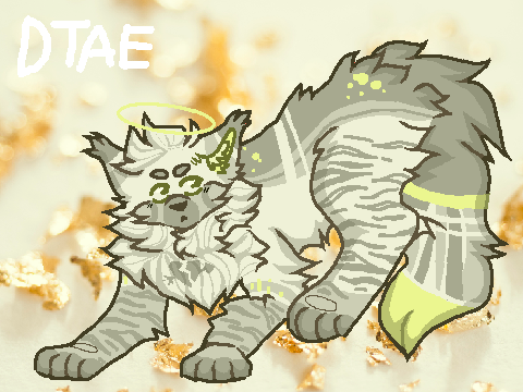 DTAE