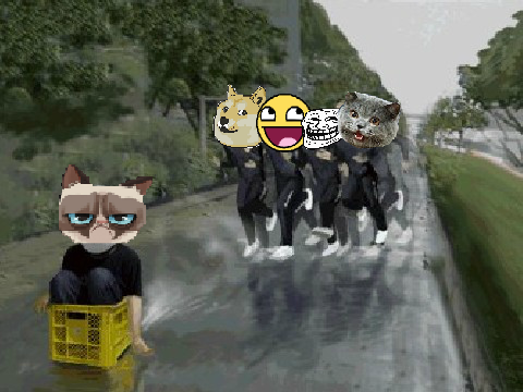 Catch That Grumpy Cat! remix