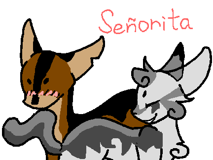 CCE - Senorita