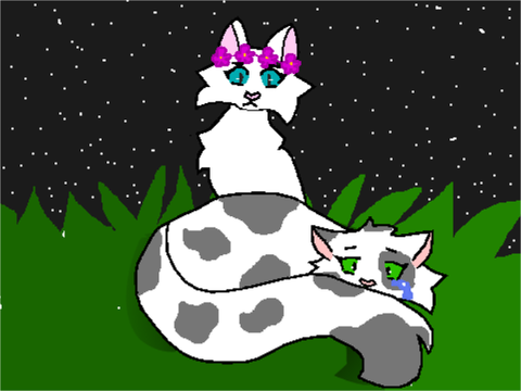 The Name of Life || Valentines Day gift for alphapup1