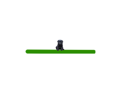 seesaw test 