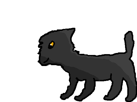 Project thumbnail