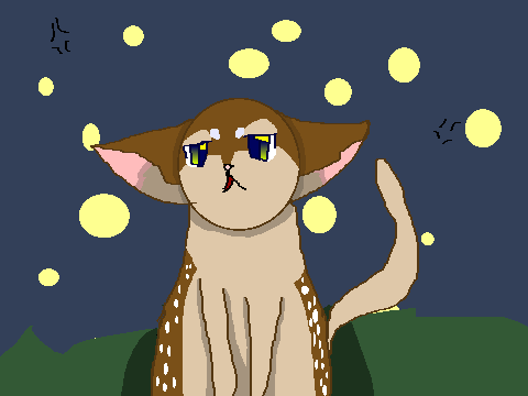 Fireflies- CCE