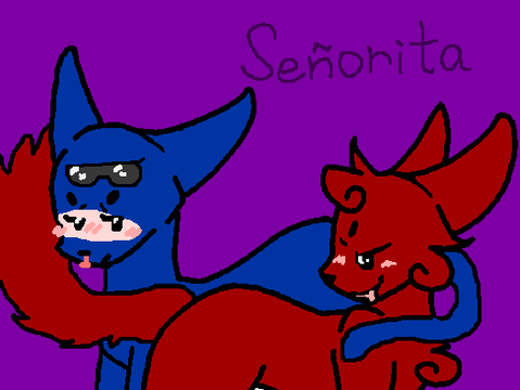 OPEN Señorita 200+ CC remix