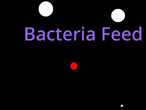 Bacteria Feed
