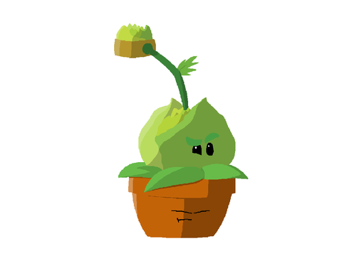Cabbage-pult and Flower Pot