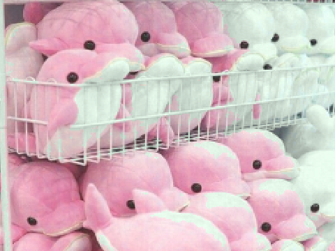 ♡