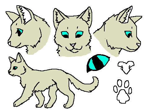 AmberClan-Character Bio remix
