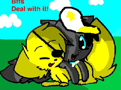 Warrior cat CCE